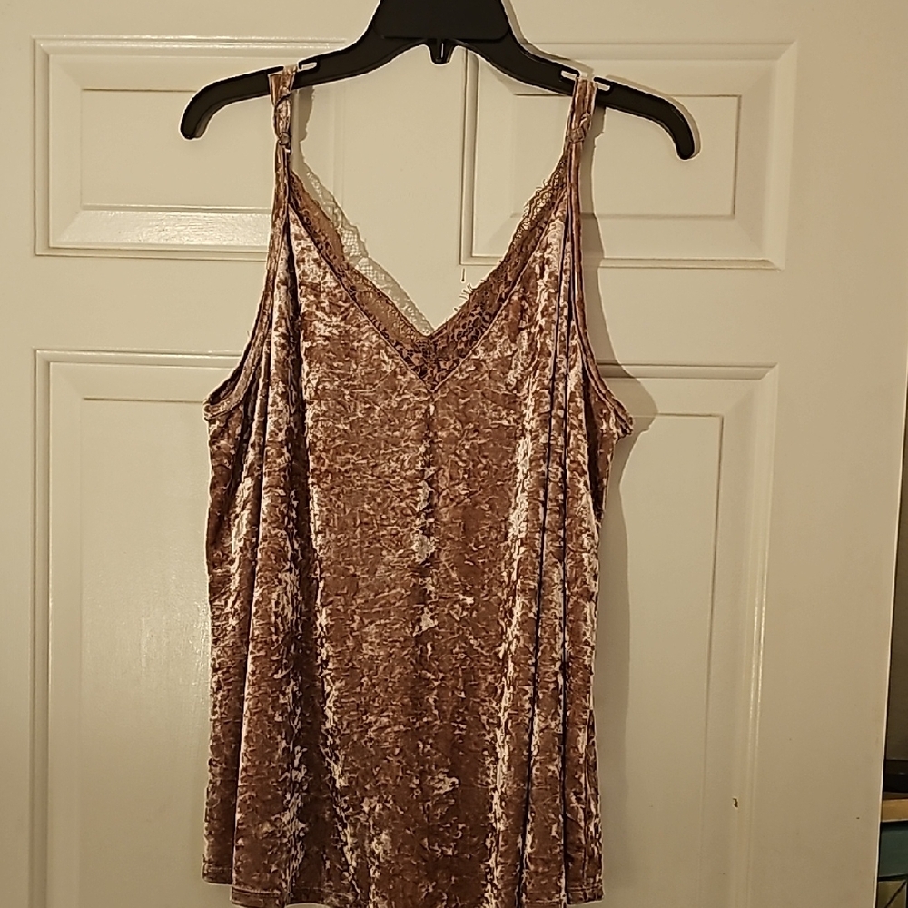 Blush Velvet Lace Trim Cami Top